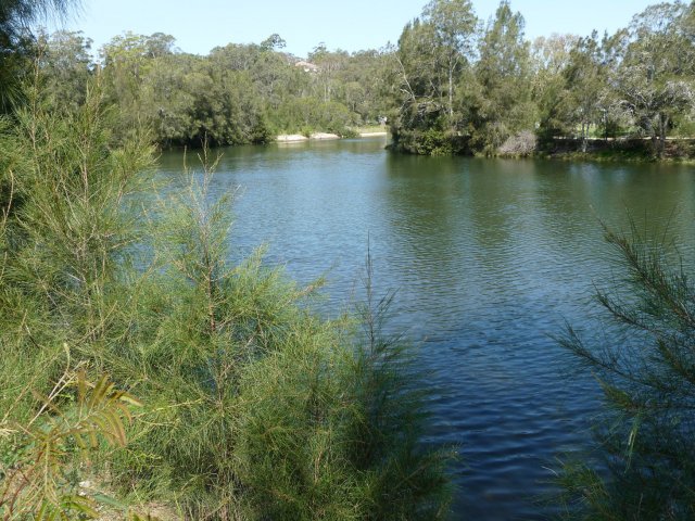 Lane Cove River